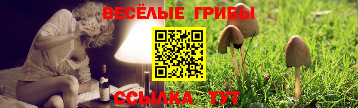 Павловский Посад  Галлюциногенные грибы Magic Shrooms  Вход с VPN 